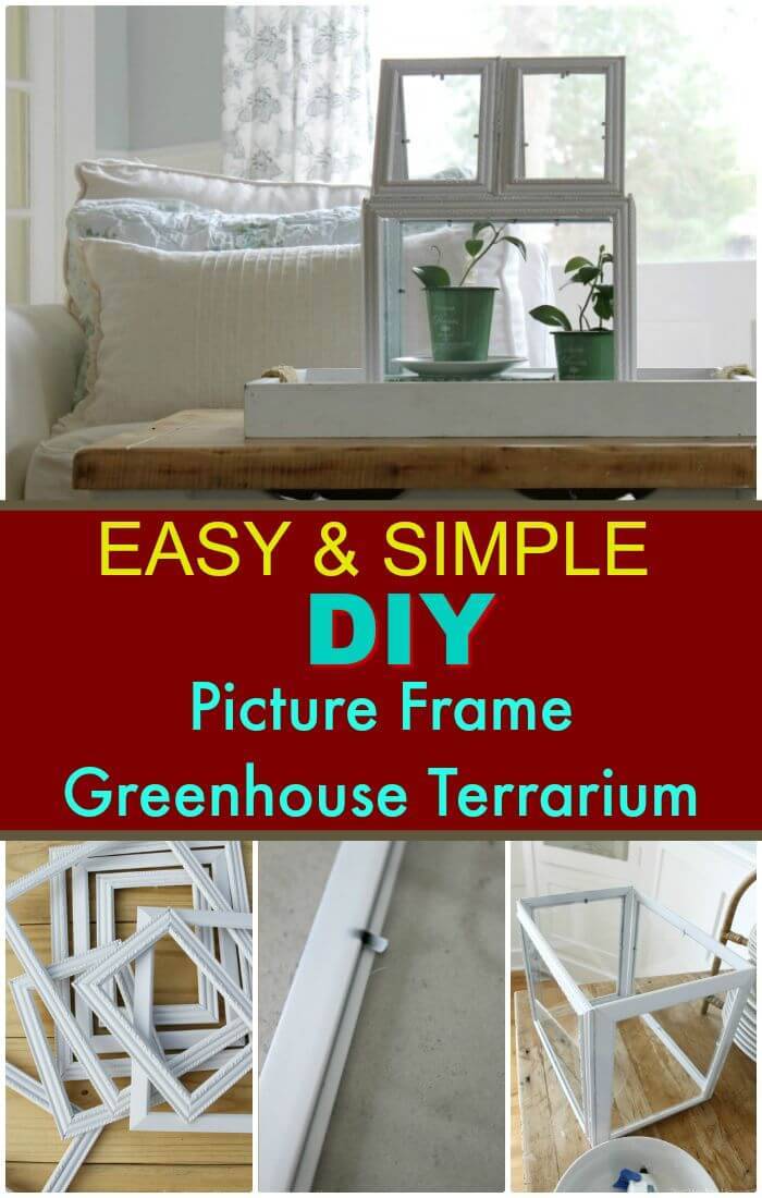 DIY Picture Frame Greenhouse Terrarium - Dollar Store Project 