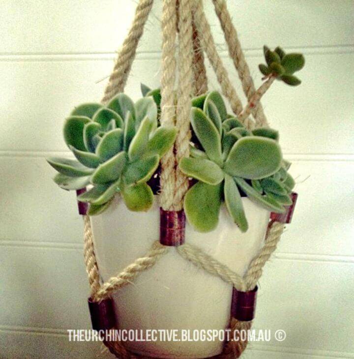 How To Make Succulent Plant Hanger