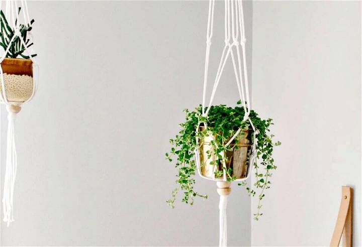 DIY A Macrame Plant Hanger With Using Golden Colour Pot