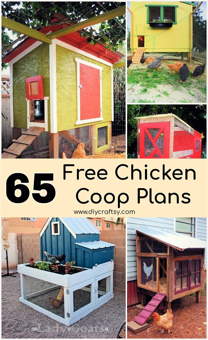 37 DIY Chicken Coop Plans That Are Budget Friendly DIY Projects