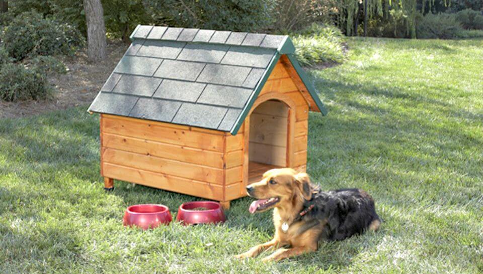 45 Easy DIY Dog House Plans You Should Build This Season