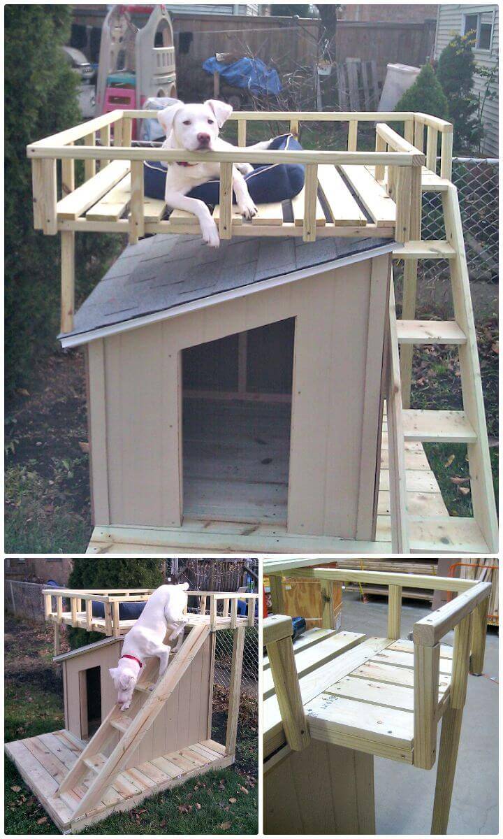 45 Easy DIY Dog House Plans &amp; Ideas You Should Build This ...