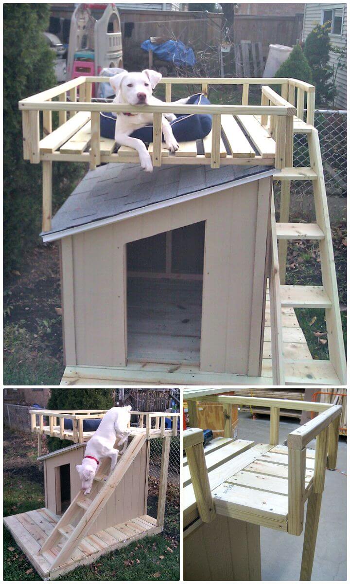 45 Easy DIY Dog House Plans You Should Build This Season