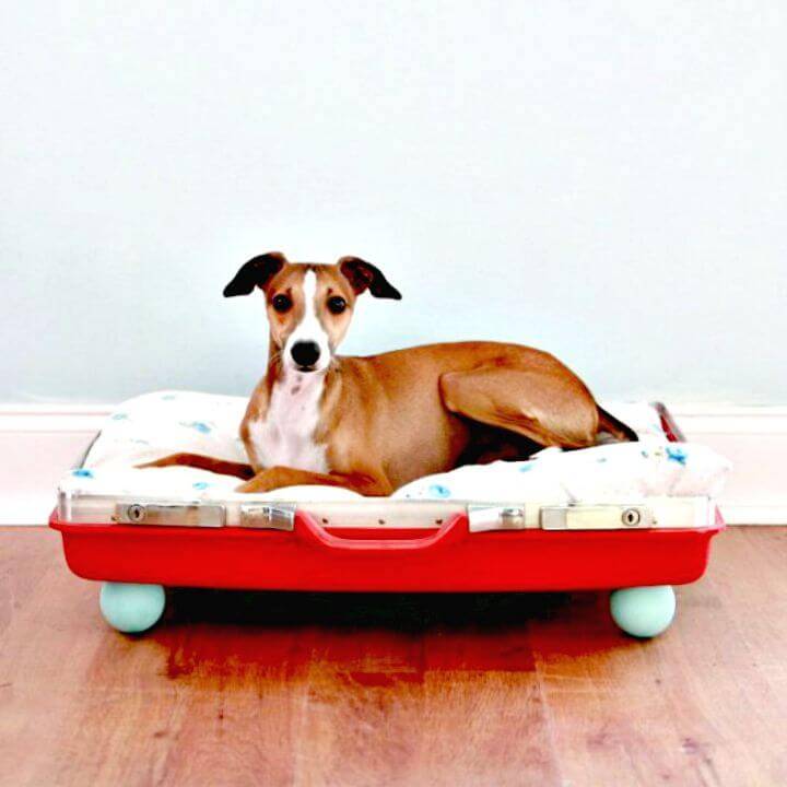 Quick and Easy DIY Pet Bed
