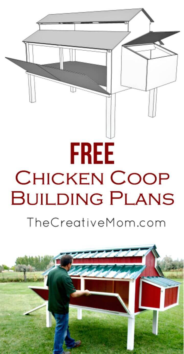 DIY Free Chicken Coop Plan