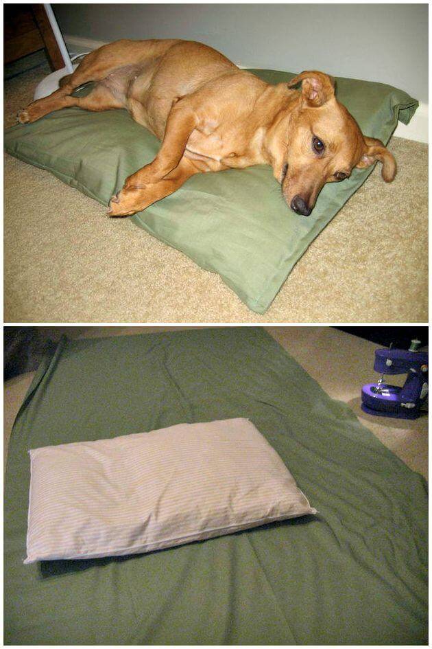 Stylish and Comfortable Pet Bed