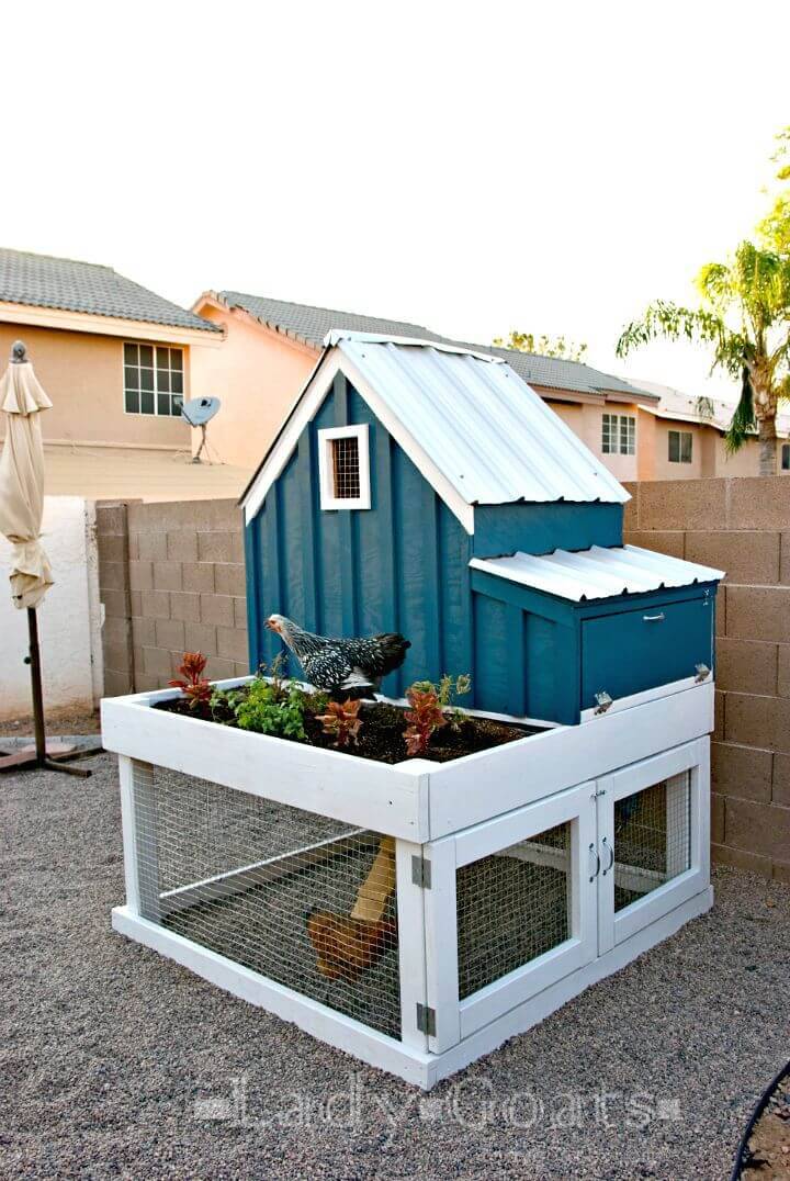 DIY Small Chicken Coop with Planter, Clean Out Tray and Nesting Box