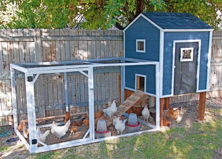 Easy DIY Ur Chicken Coop – A Story Of Chickens