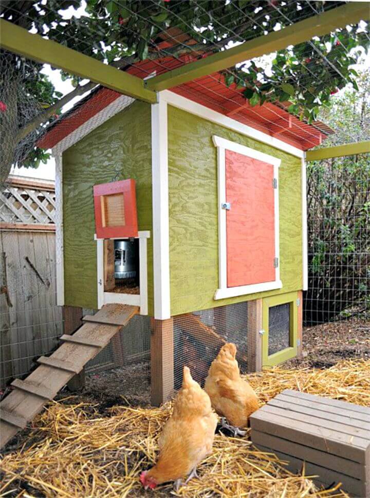 DIY Urban Chicken Coop - Free Tutorial