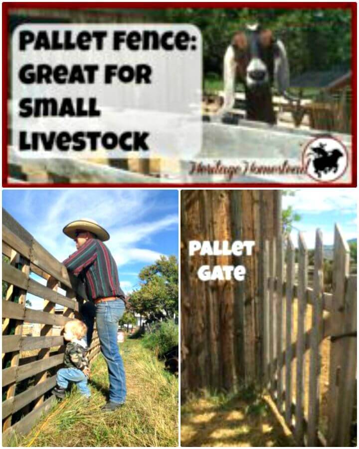 Build Your Own Pallet Fence Great For Small Livestock