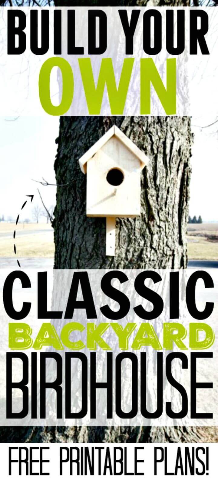 Easy DIY Classic Backyard Birdhouse