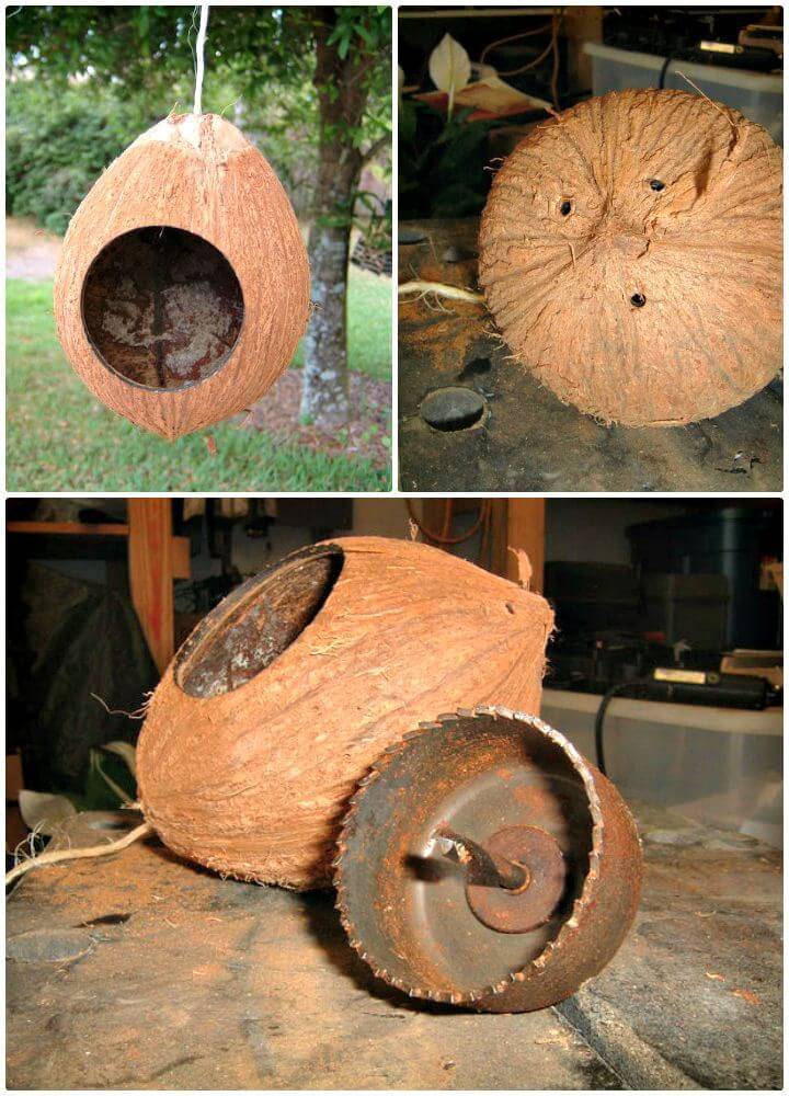 Easy DIY Coconut Birdhouse Tutorial