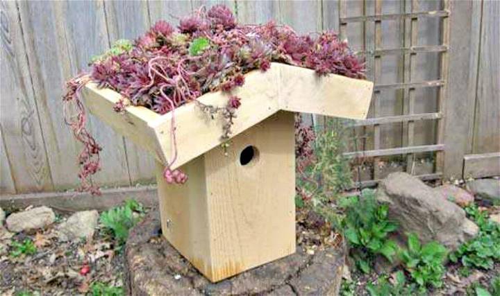 Easy DIY Green-Roof Birdhouse Tutorial