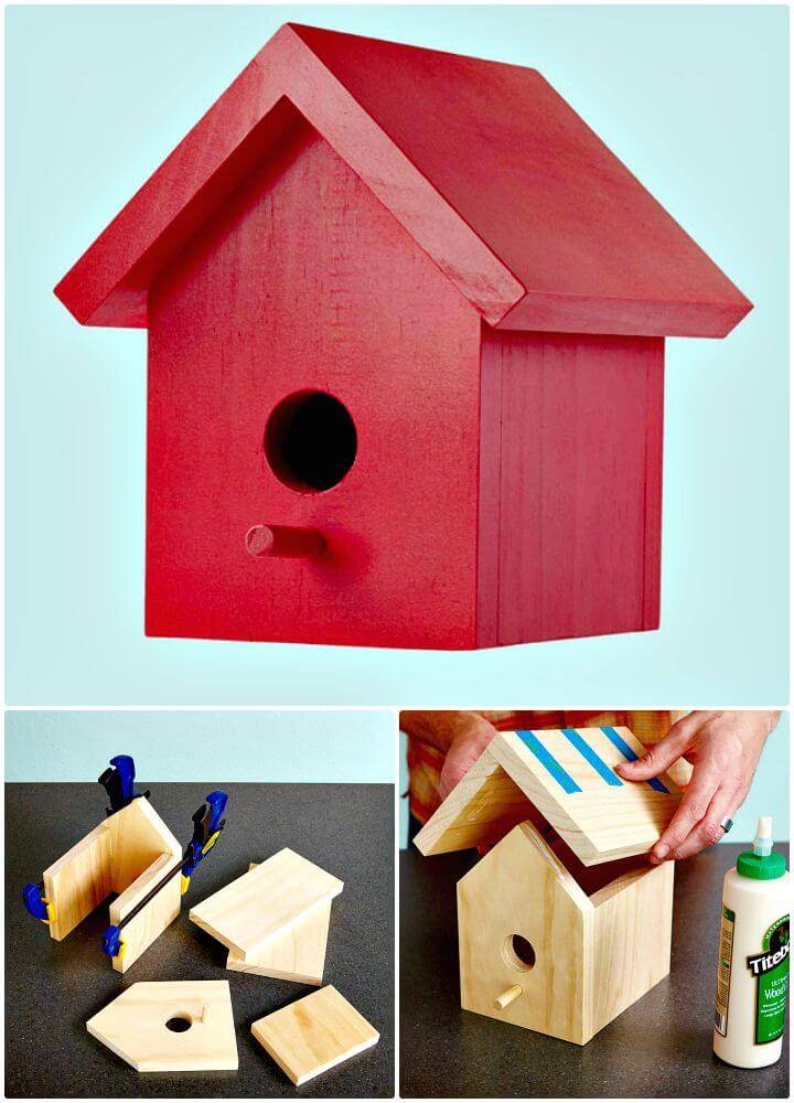 Easy DIY One-Board Bird House Plan