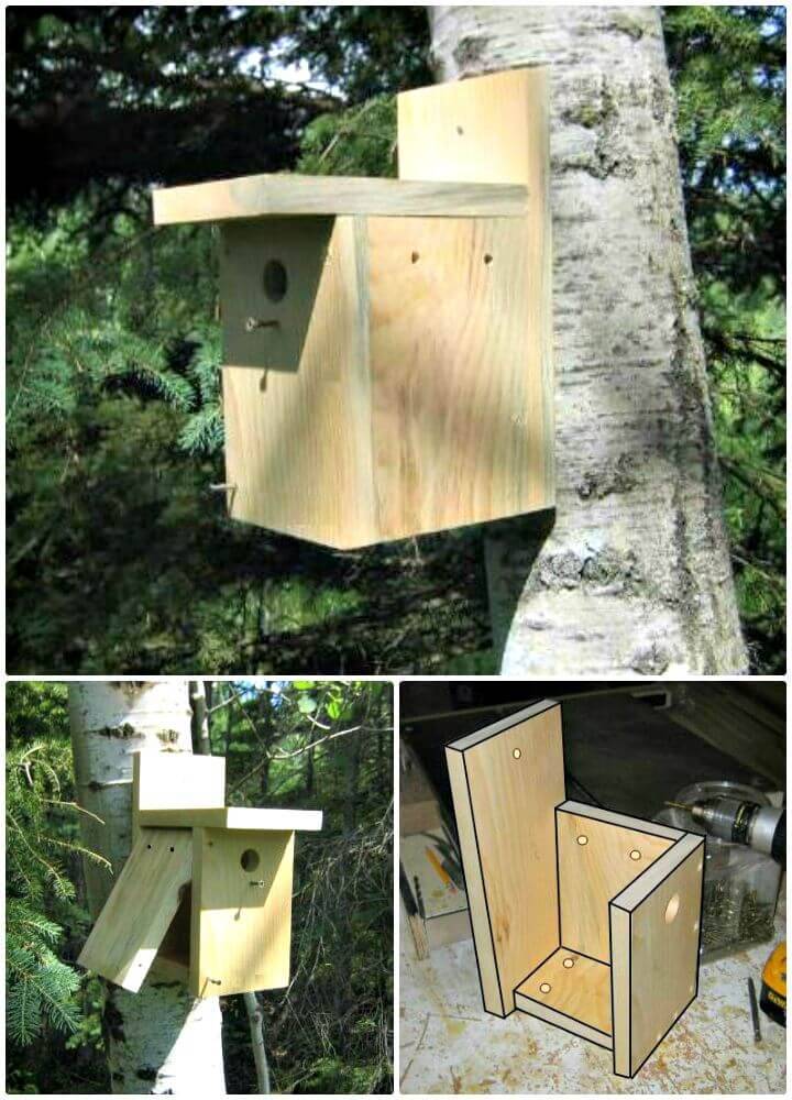 How To Build A Birdhouse Tutorial