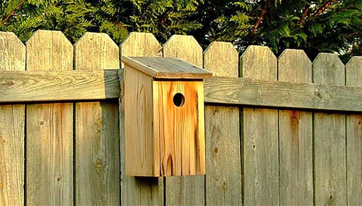 Easy How To Build Your Own Basic Birdhouse Tutorial
