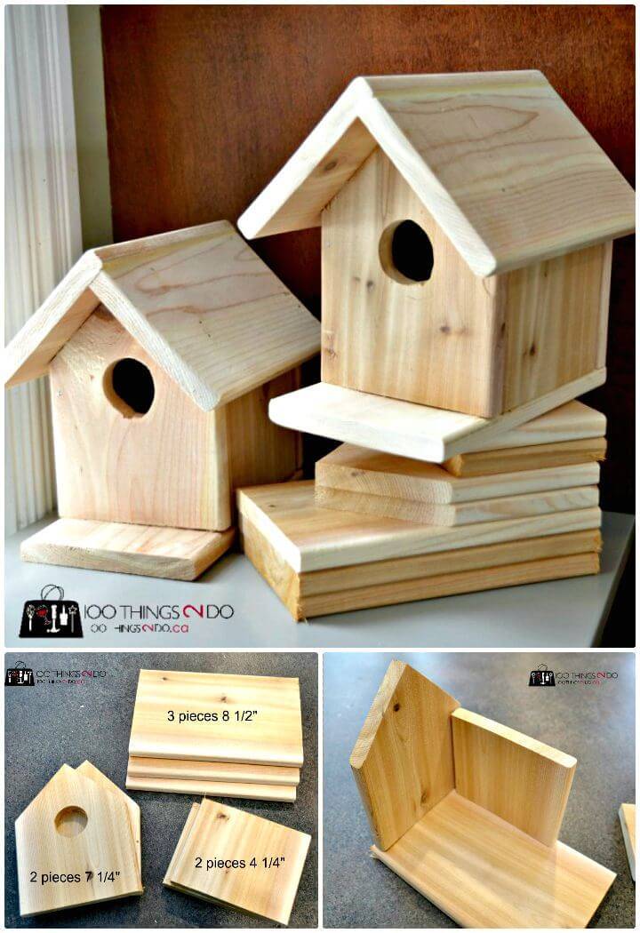 How To Build a Bird House Tutorial