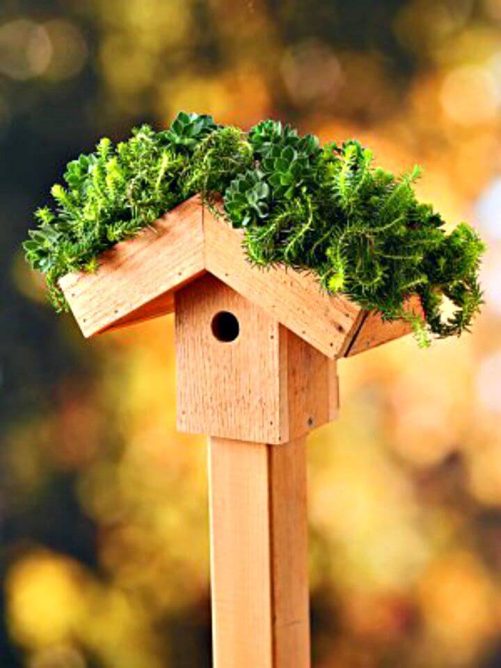 Easy How To Build a Green Roof Birdhouse Tutorial