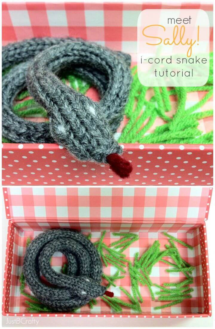 Free Knit Meet Sally! I-cord Snake Pattern