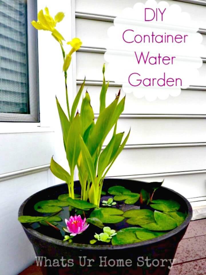 How to DIY Container Water Garden