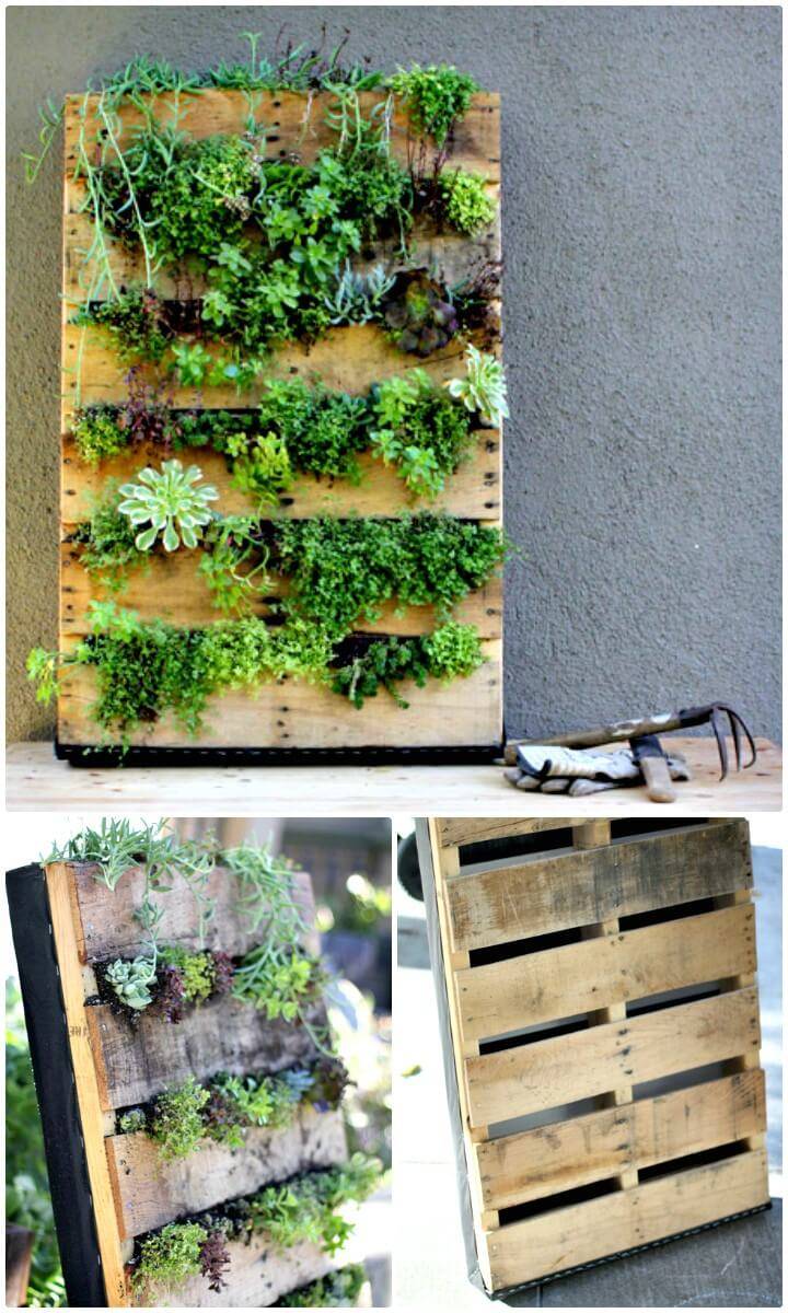 DIY Recycled Pallet Vertical Garden