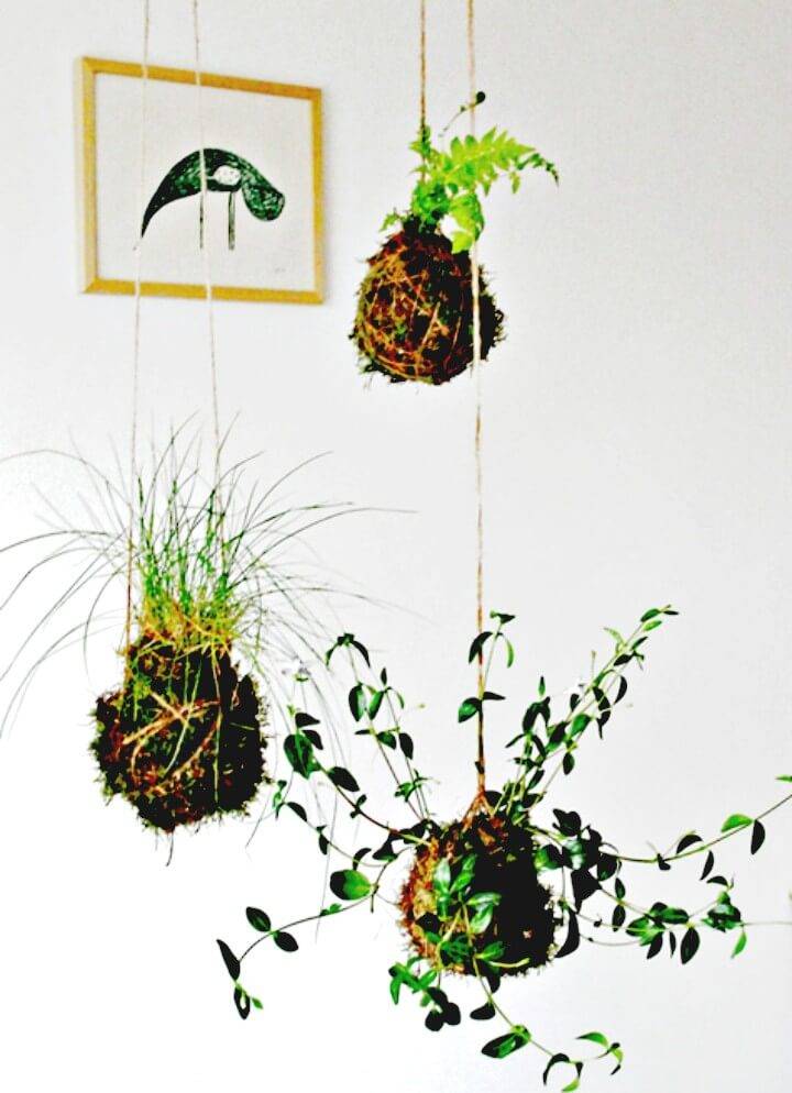 DIY Kokedama String Garden Project