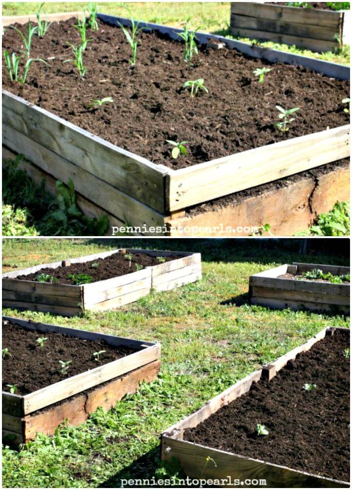 DIY Pallet Wood Raised Garden Beds