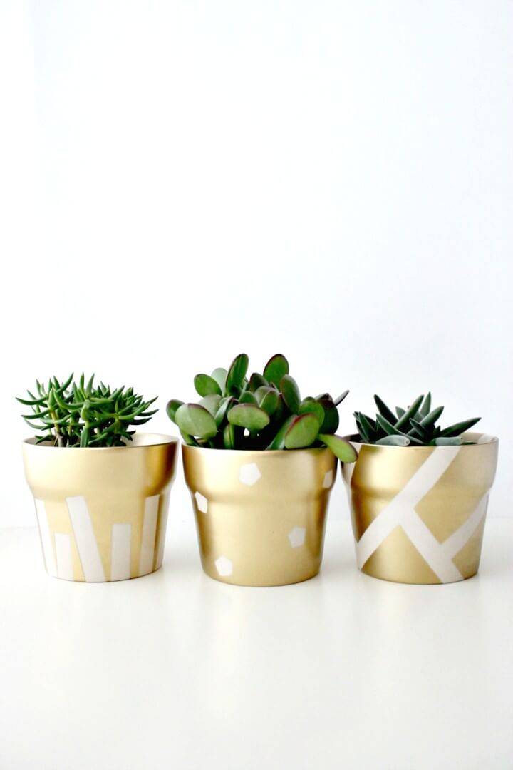 Adorable DIY Gilded Succulent Pots For Spring