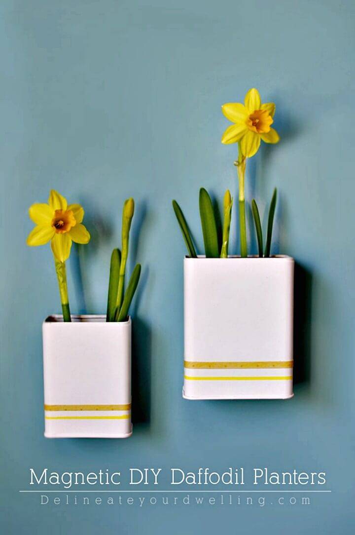 How to DIY Magnetic DIY Daffodil Planters