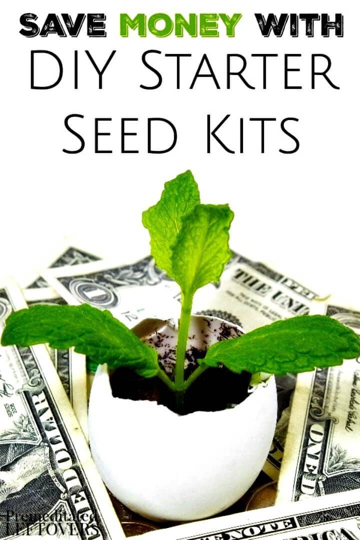How To DIY Garden Seed Starter Kits