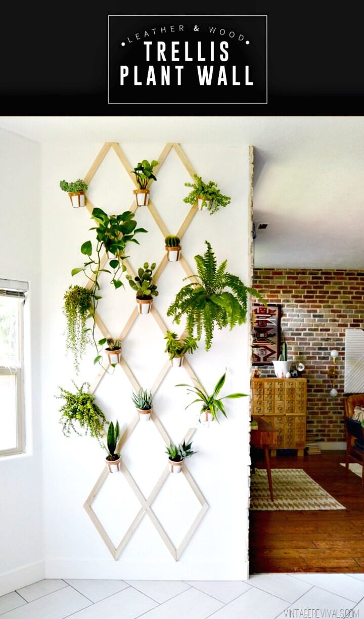 DIY Wood and Leather Trellis Plant Wall