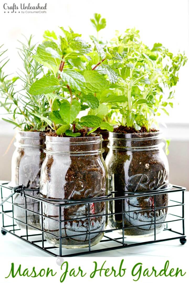 Make Your Own Mason Jar Herb Garden - DIY