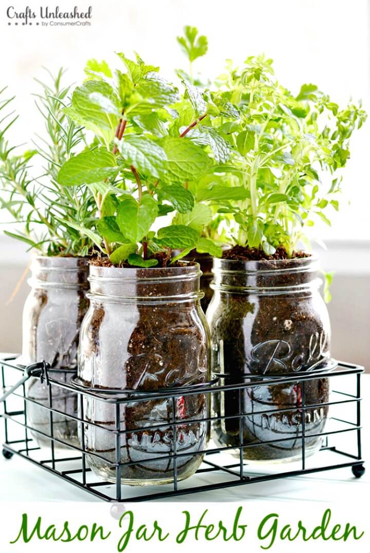 Make Your Own Mason Jar Herb Garden - DIY Mason Jars for Spring & Summer  