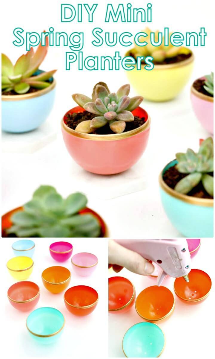 Quick How to Make Your Own Mini Spring Succulent Planter