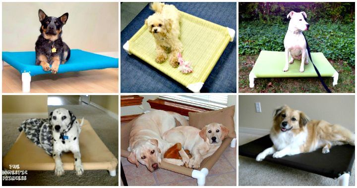 diy raised pvc dog bed