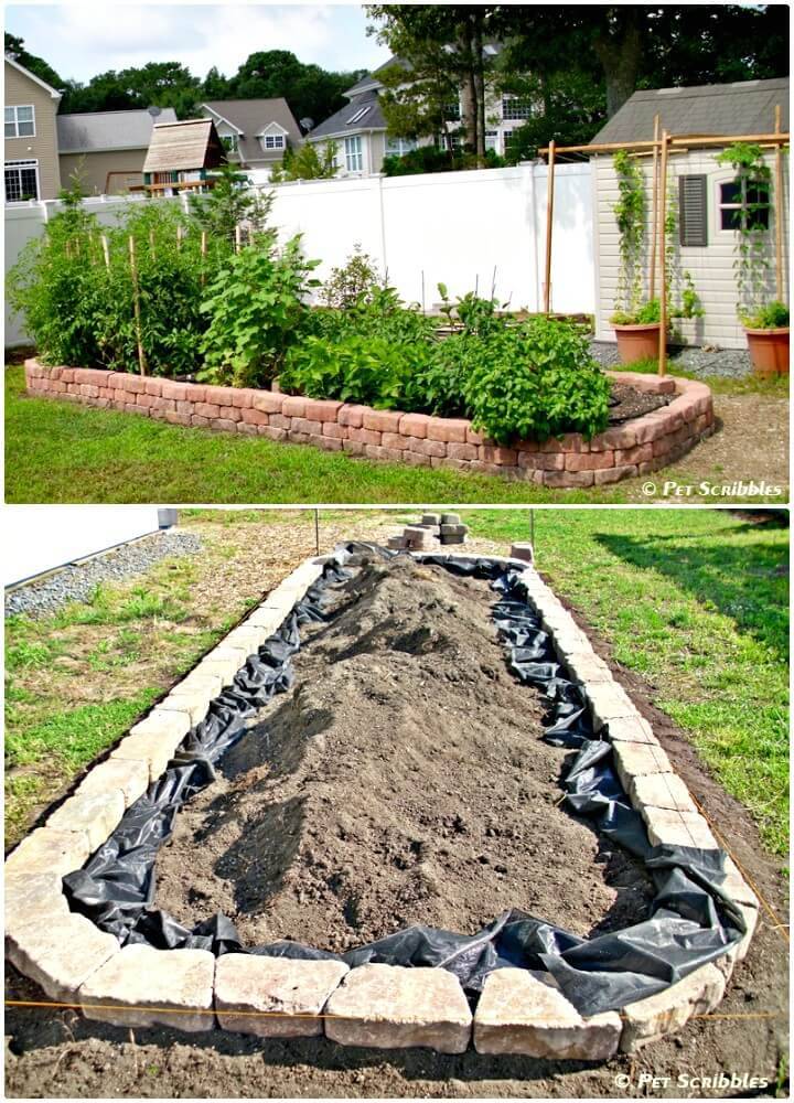 How to Build Raised Garden Bed for Vegetables
