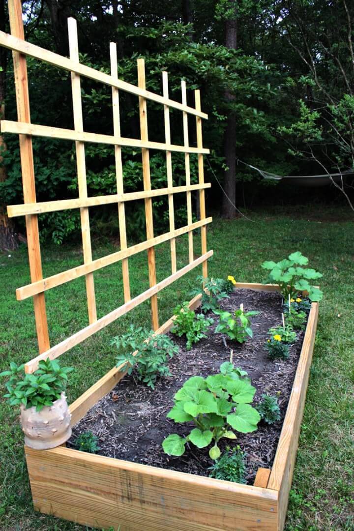DIY Raised Bed Garden+ Trellis