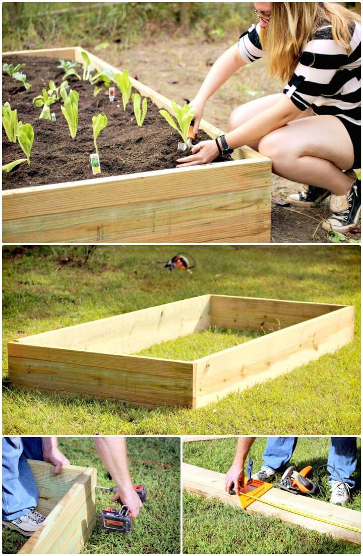 How to Build Raised Garden Beds