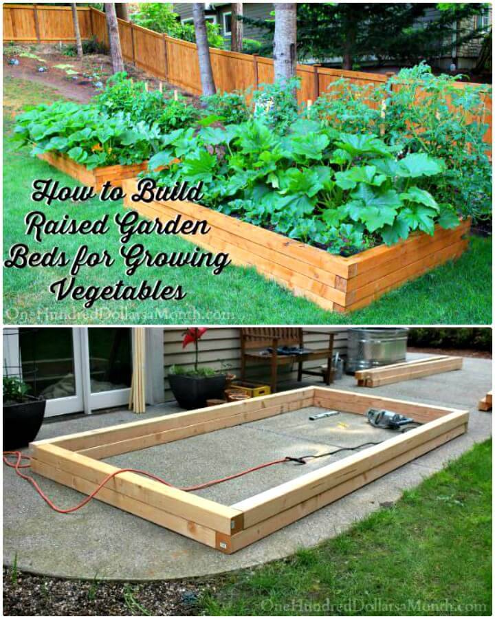 How to Build Raised Garden Beds for Growing Vegetables