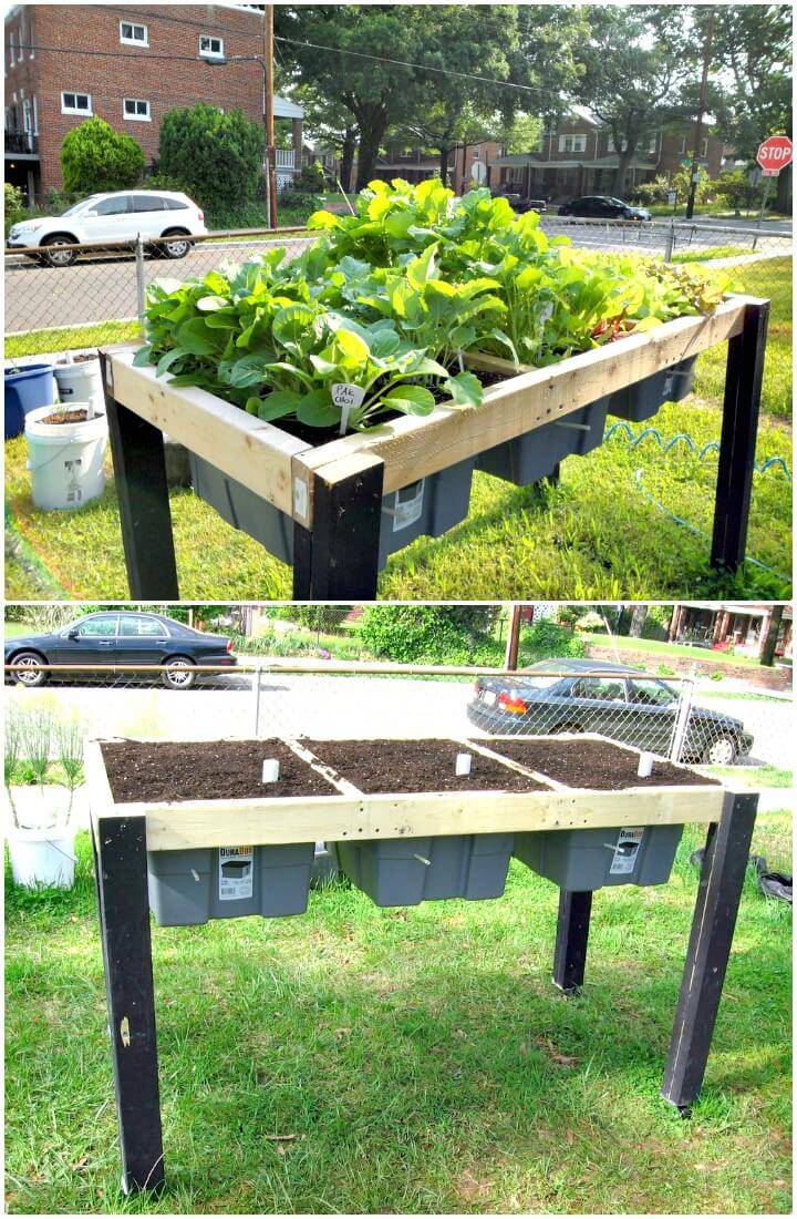 Build Your Own Starter Raised Bed For Kids