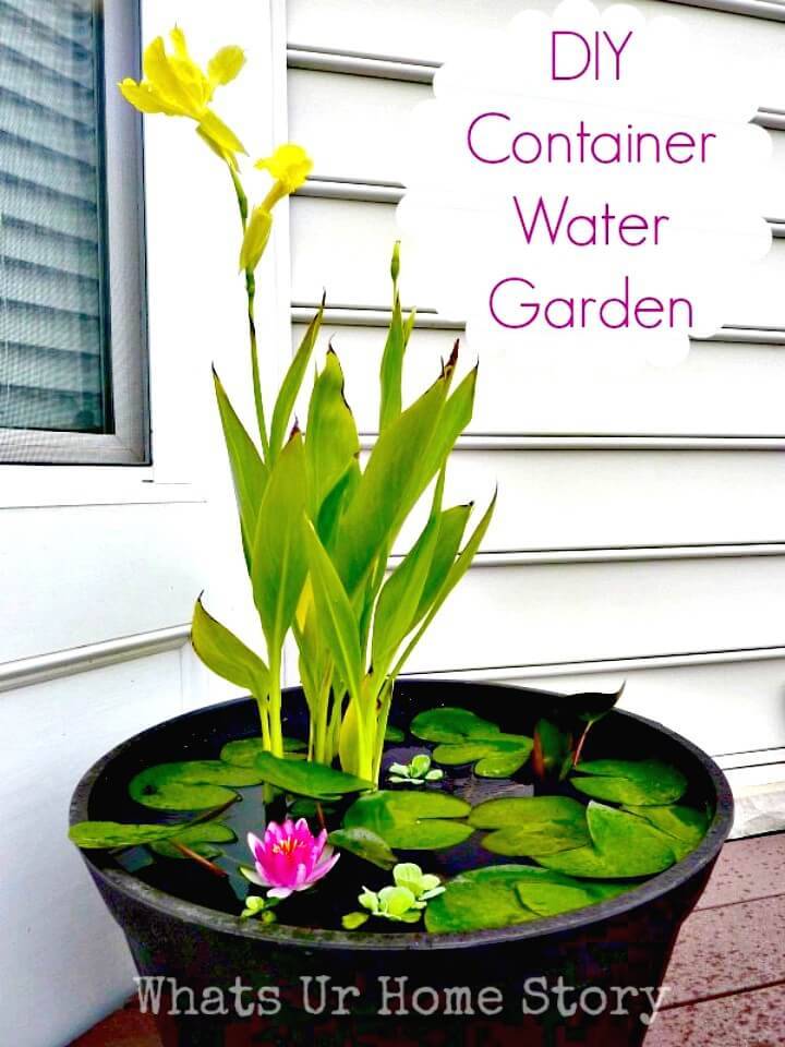 How to DIY Container Water Garden