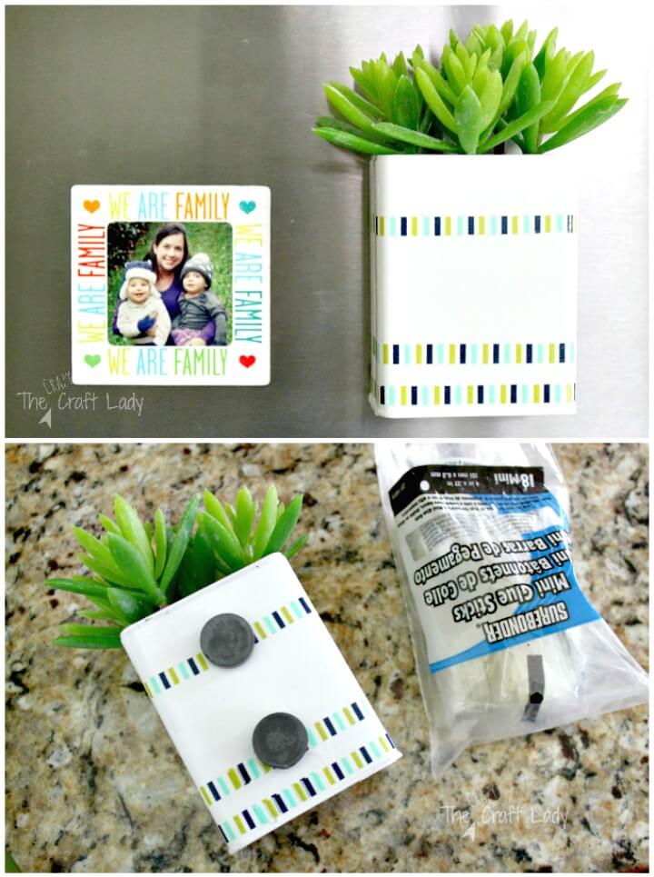 DIY Magnetic Succulent Planter Tutorial