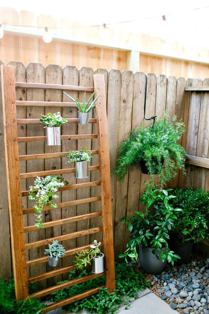 DIY Outdoor Succulent Wall Accent