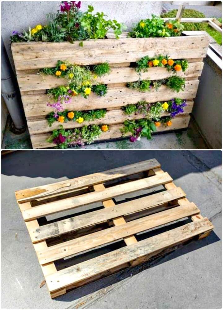 30 Diy Pallet Garden Projects To Update Your Gardens ⋆ Diy Crafts