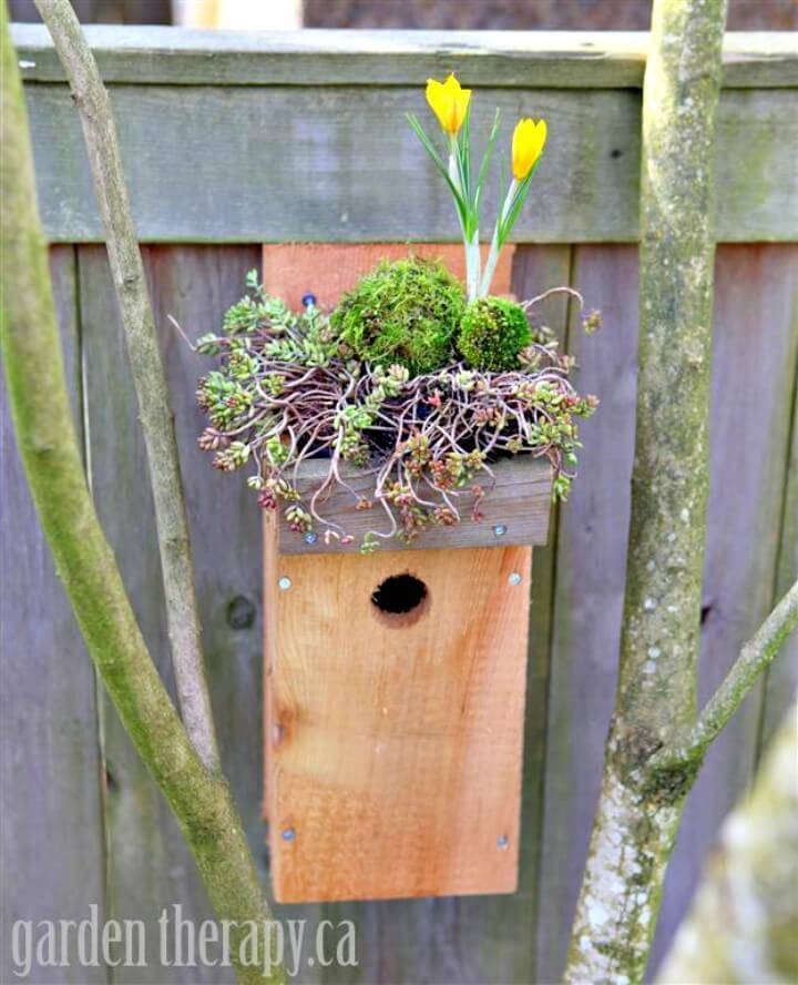 How To Build Green Roof Birdhouse - DIY