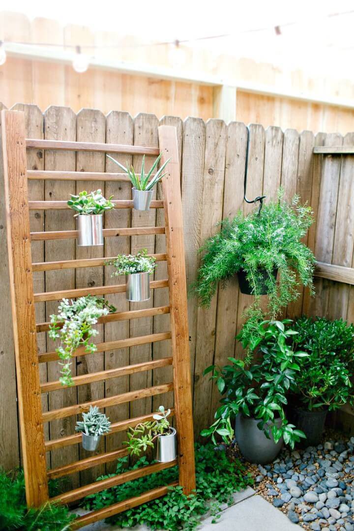 DIY Outdoor Succulent Wall - Backyard Ideas