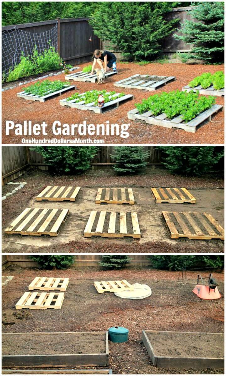 30 DIY Pallet Garden Projects to Update Your Gardens ⋆ DIY ...