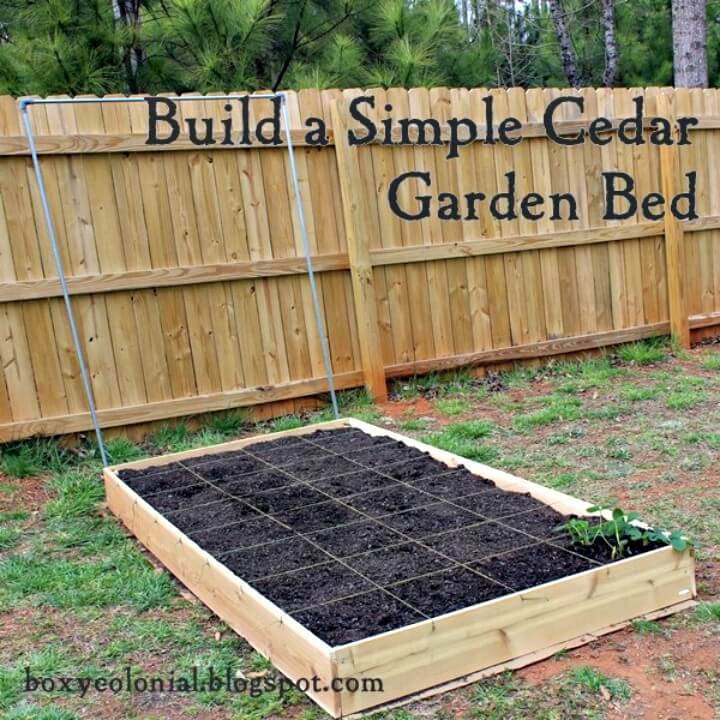 Build Your Own Cedar Raised Garden Bed