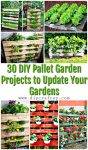 30 DIY Pallet Garden Projects to Update Your Gardens ⋆ DIY Crafts