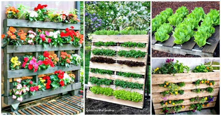 60 DIY Pallet Garden ideas to Update Your Gardens - Pallet Ideas - Pallet Furniture Ideas - Pallet Projects - DIY Projects - DIY Crafts - DIY Ideas